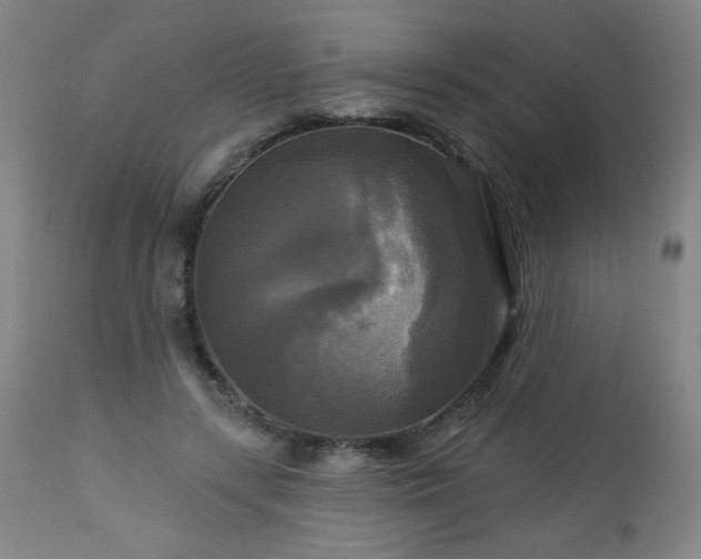 X0000112960547200909031024