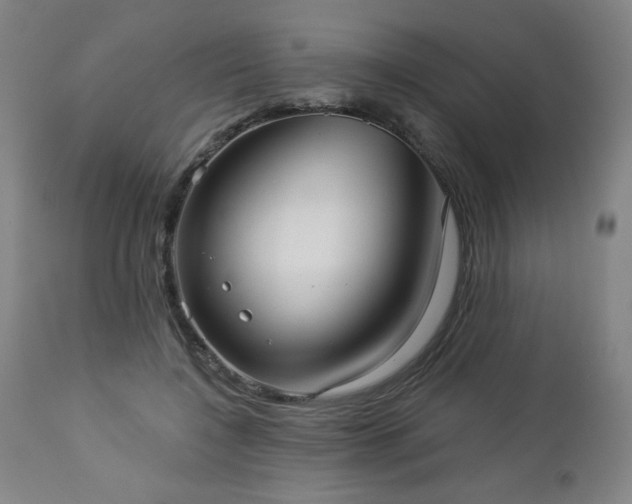 X0000112960548200909031024