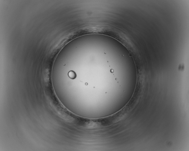 X0000112960549200909031024