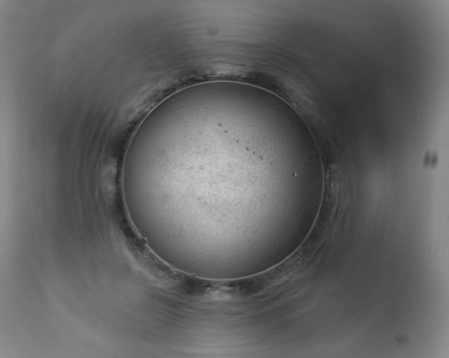 X0000112960550200909031024