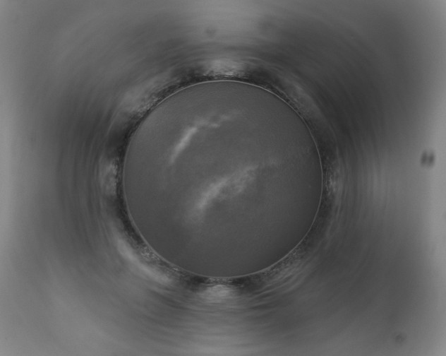 X0000112960551200909031024