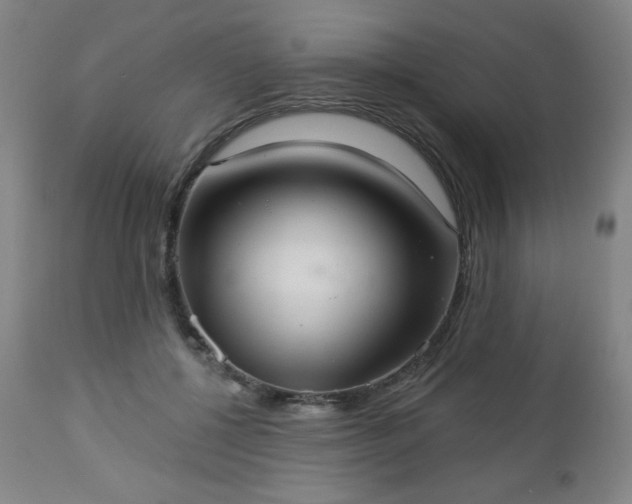 X0000112960552200909031024