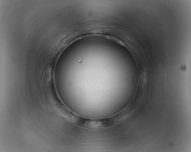 X0000112960554200909031024