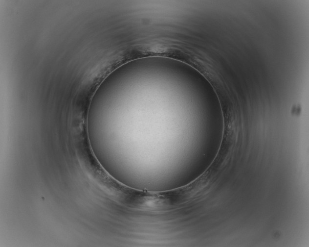 X0000112960555200909031024