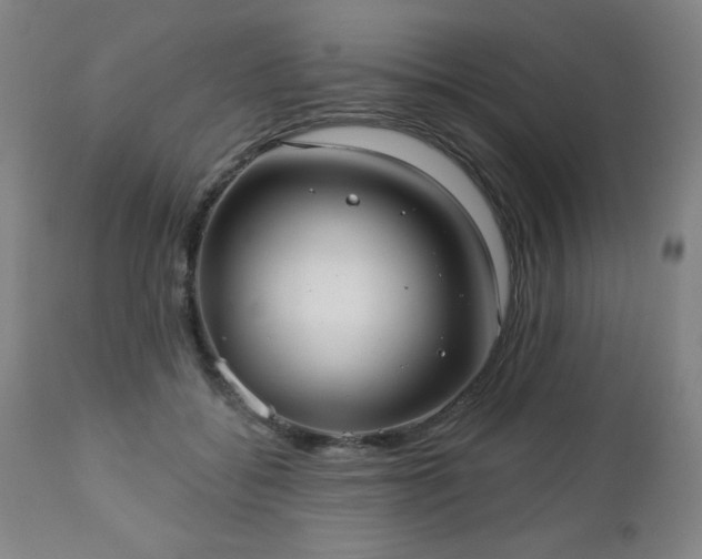 X0000112960556200909031024