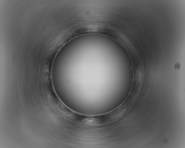 X0000112960557200909031024