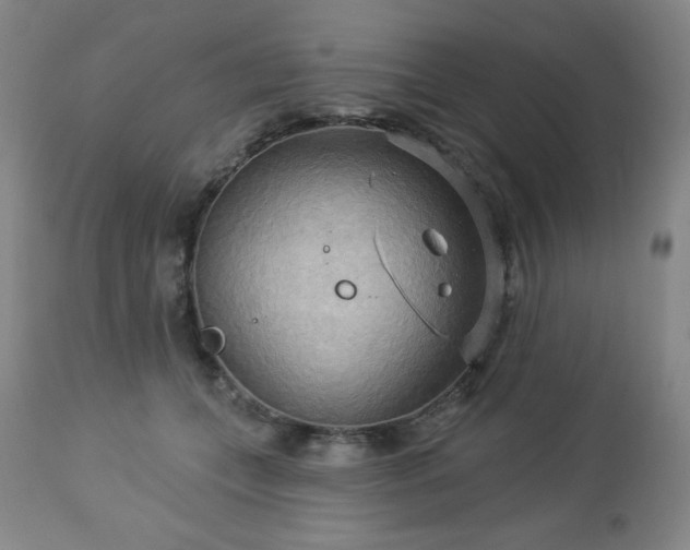 X0000112960559200909031024