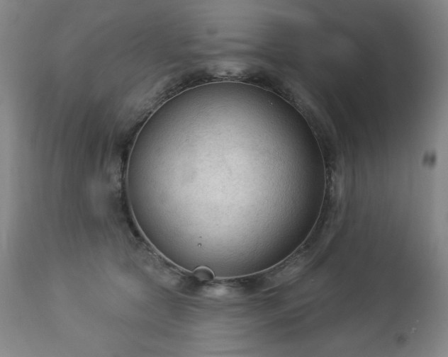 X0000112960561200909031024