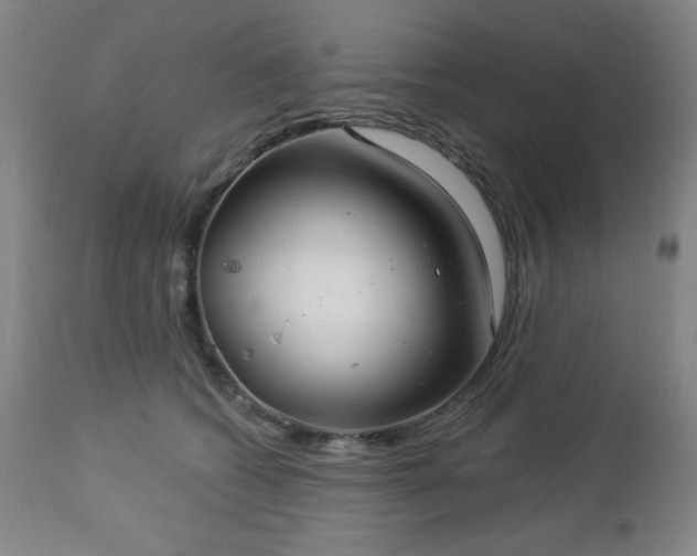 X0000112960562200909031024