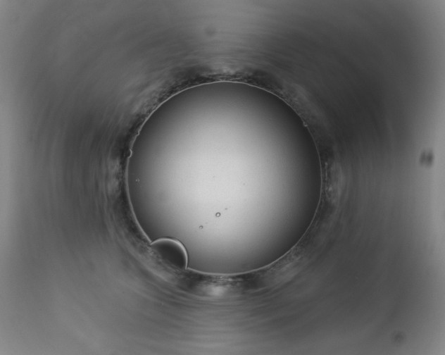 X0000112960563200909031024