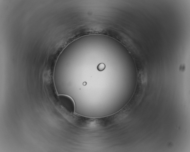 X0000112960564200909031024