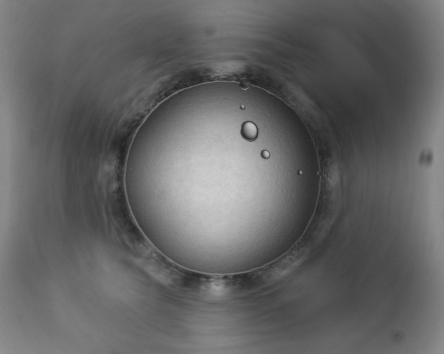 X0000112960565200909031024