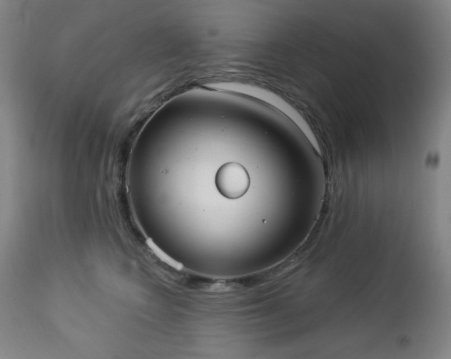 X0000112960566200909031024