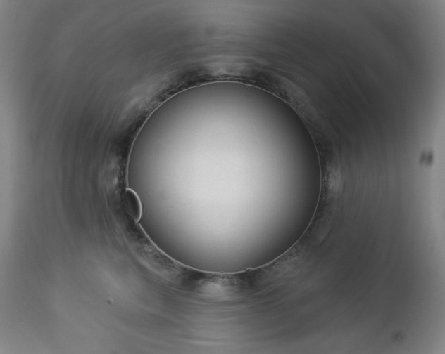 X0000112960567200909031024