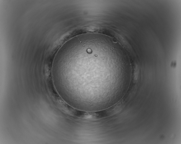 X0000112960569200909031024