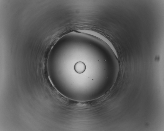 X0000112960570200909031024