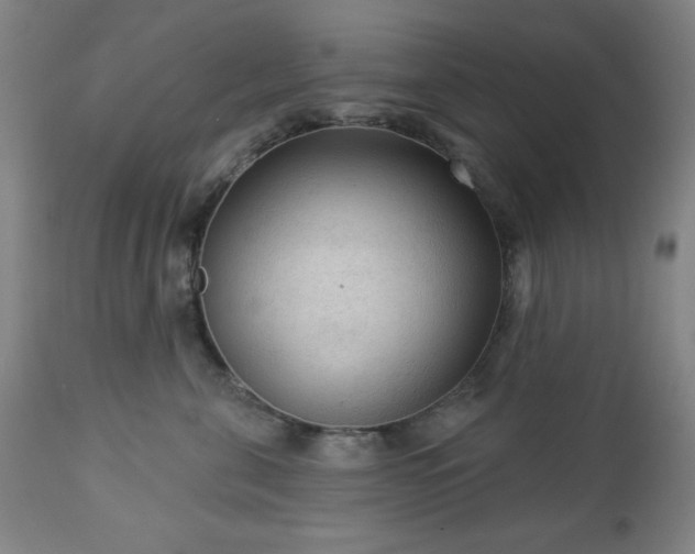 X0000112960571200909031024