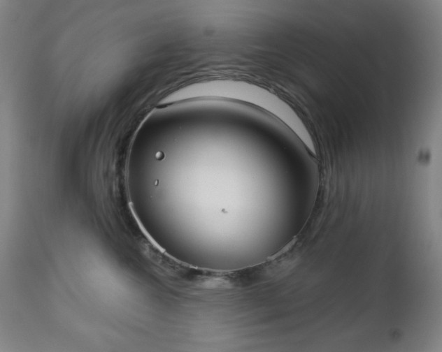 X0000112960572200909031024