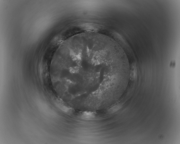 X0000112960573200909031024