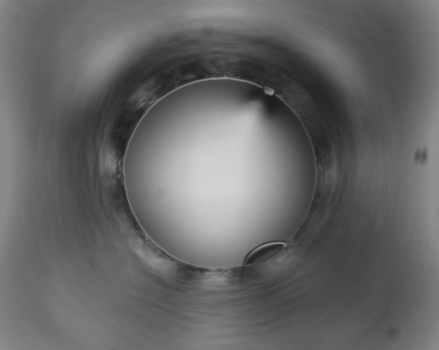 X0000112960574200909031024