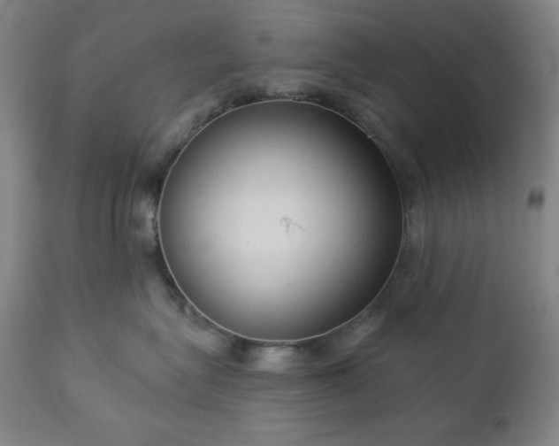 X0000112960575200909031024