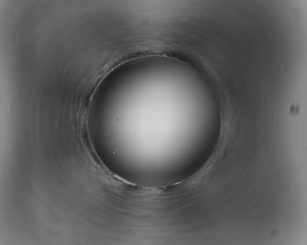 X0000112960576200909031024