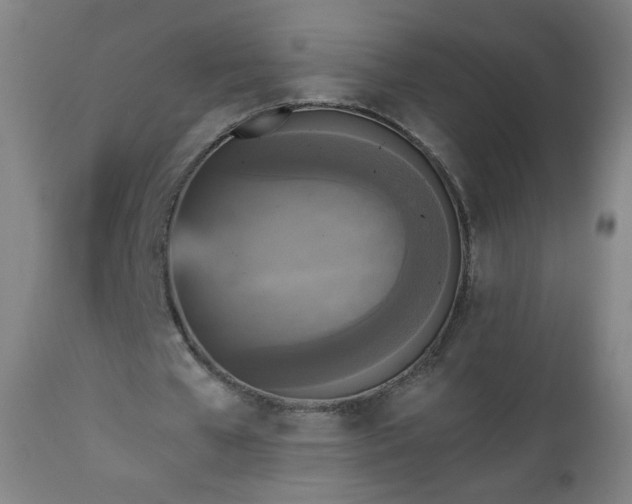 X0000112960577200909031023