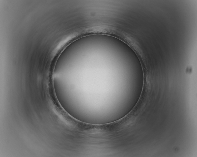 X0000112960578200909031023