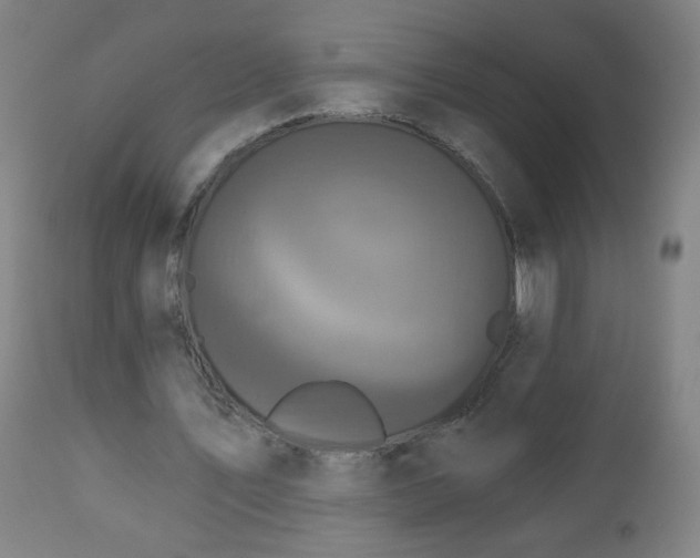 X0000112960579200909031023