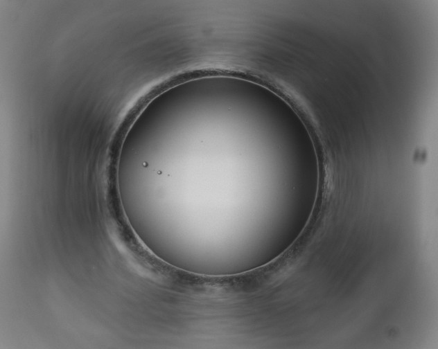 X0000112960580200909031023