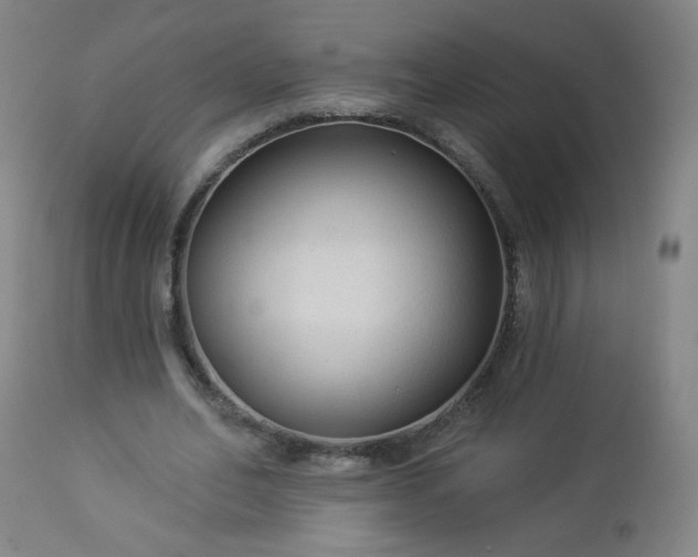 X0000112960582200909031023