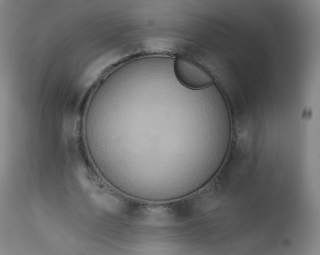 X0000112960583200909031023