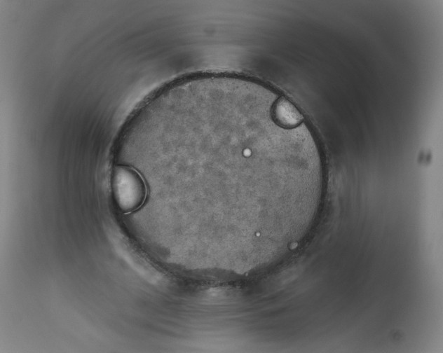 X0000112960584200909031023