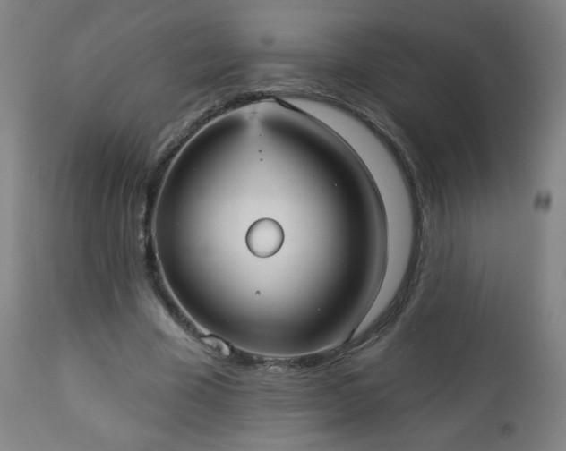 X0000112960585200909031023