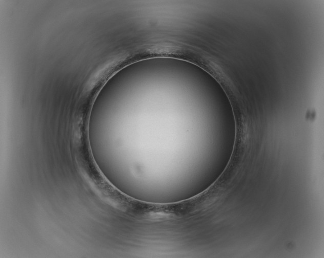 X0000112960586200909031023