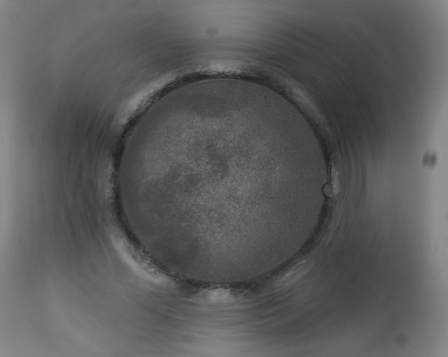 X0000112960588200909031023