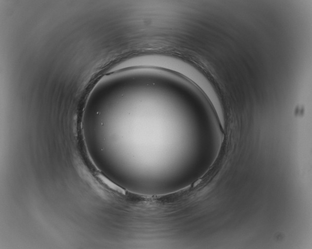 X0000112960589200909031023