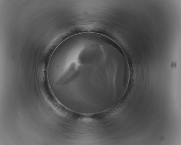 X0000112960590200909031023