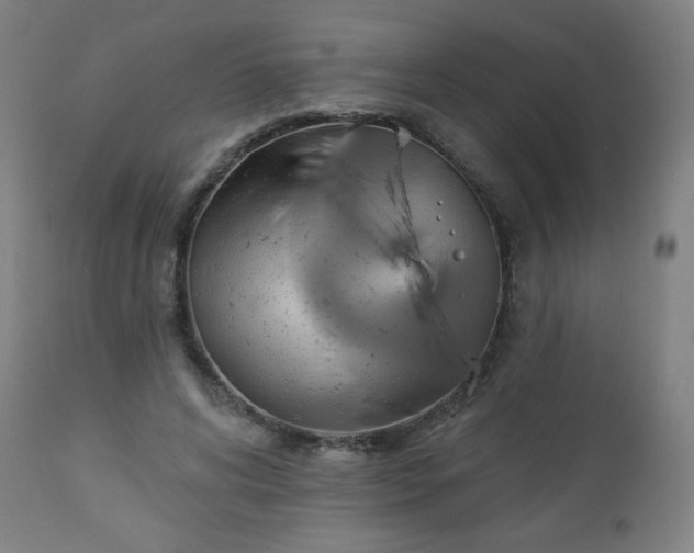 X0000112960592200909031023