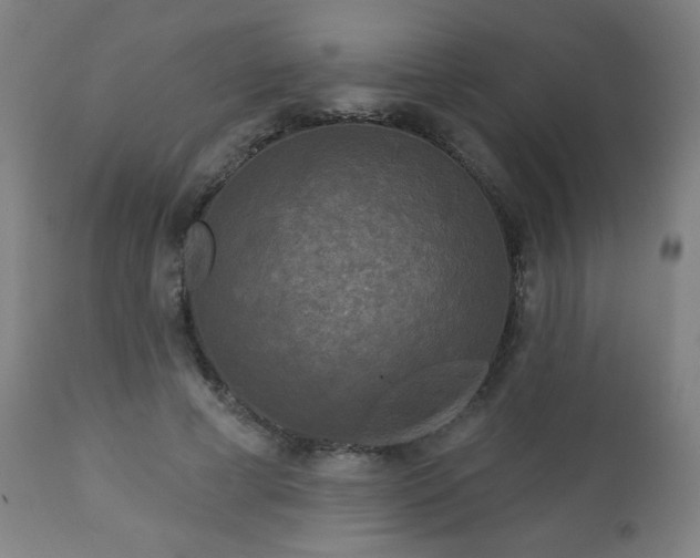 X0000112960593200909031023