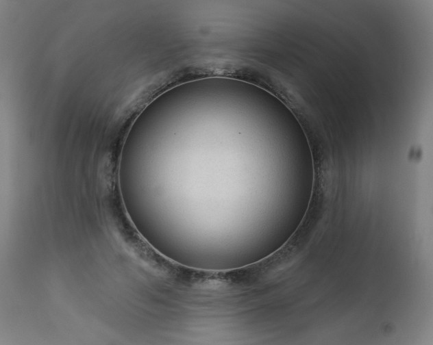 X0000112960594200909031023