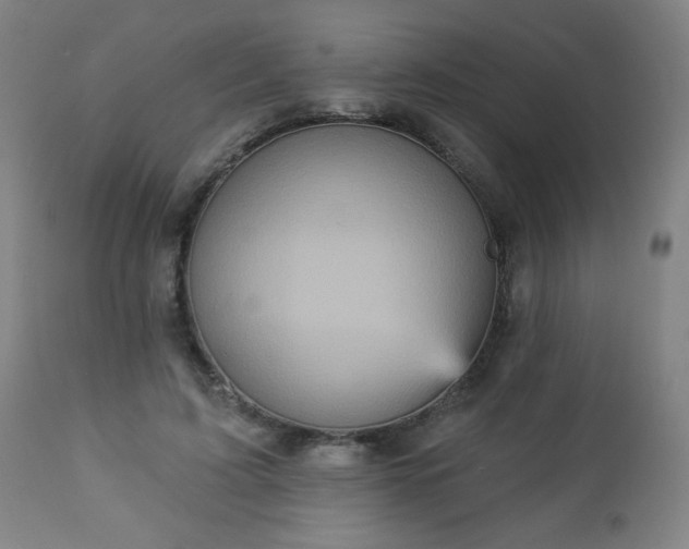 X0000112960595200909031023