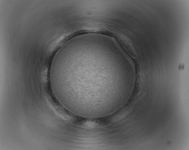 X0000112960596200909031023