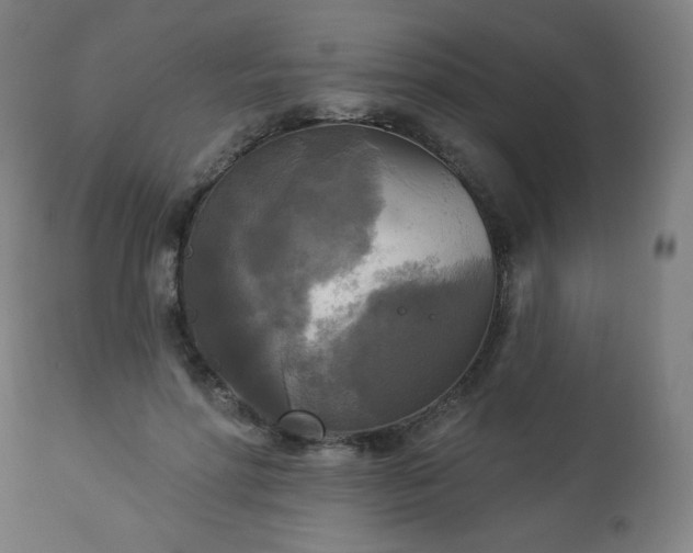 X0000112960598200909031023