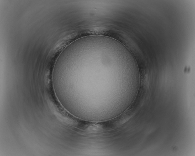 X0000112960599200909031023