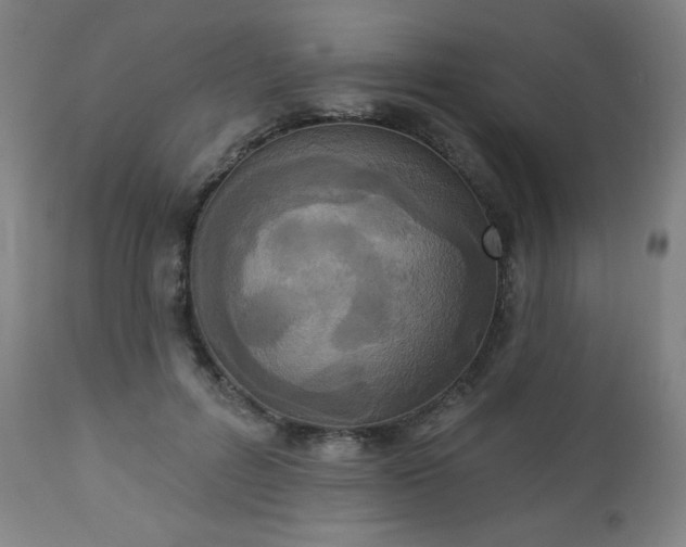 X0000112960600200909031023