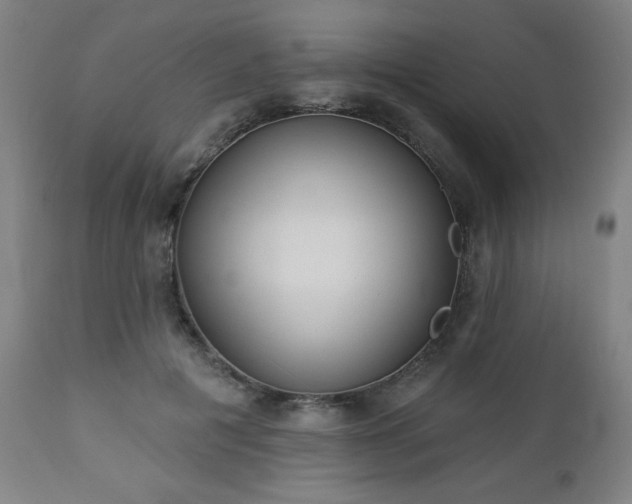 X0000112960601200909031023