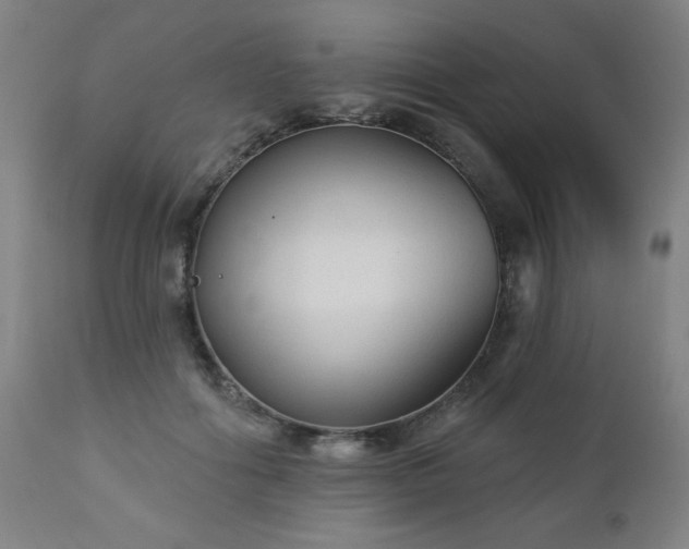 X0000112960602200909031023