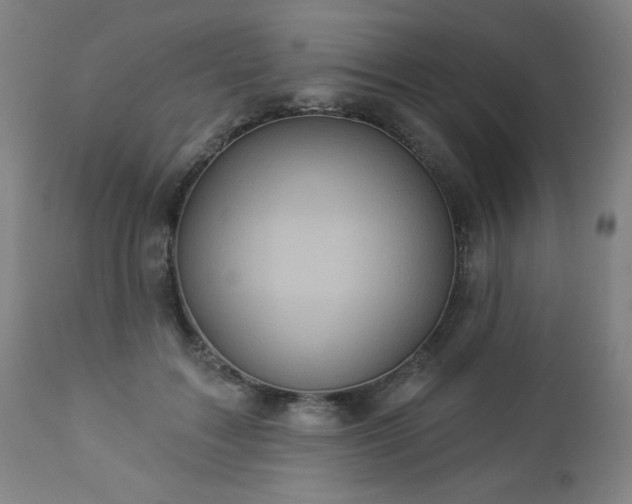 X0000112960603200909031023