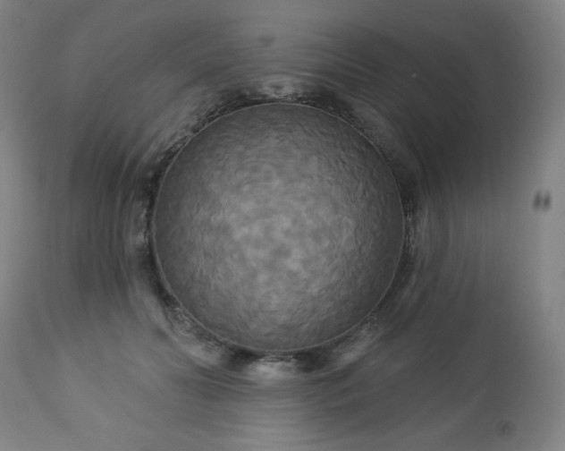 X0000112960606200909031023